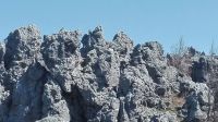 Monte cucuzzo  Aprile 2018 (61)